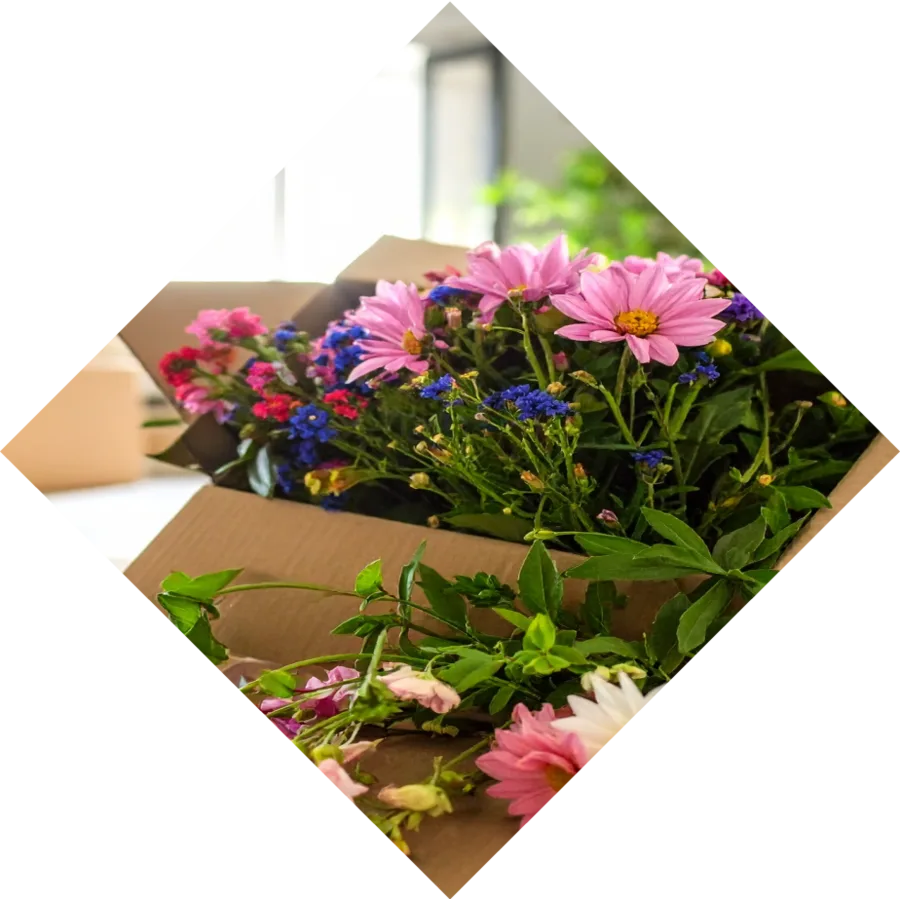 Bouquet